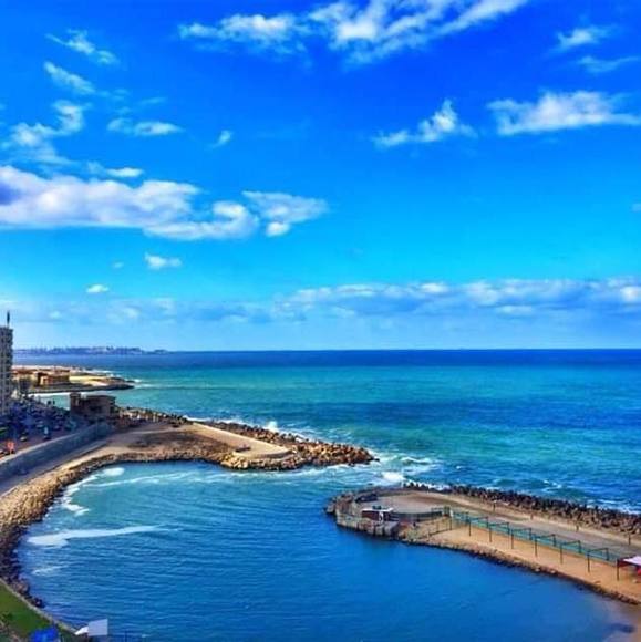 Meet your Posher, Raghda - Picture 1 of 1